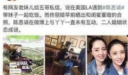 张璇陈思诚最新爆料,最新爆料揭露惊人内幕