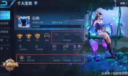 王者爆料樱花视频大全下载,视频大全下载攻略揭秘